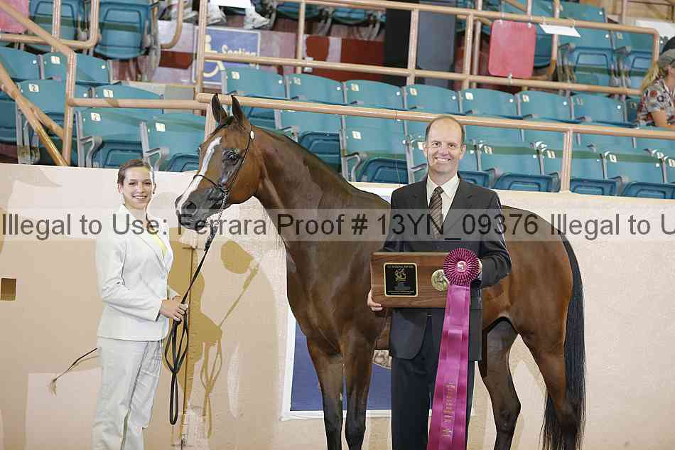 Proof 13yn_09376
