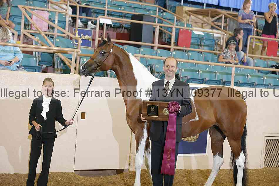 Proof 13yn_09377