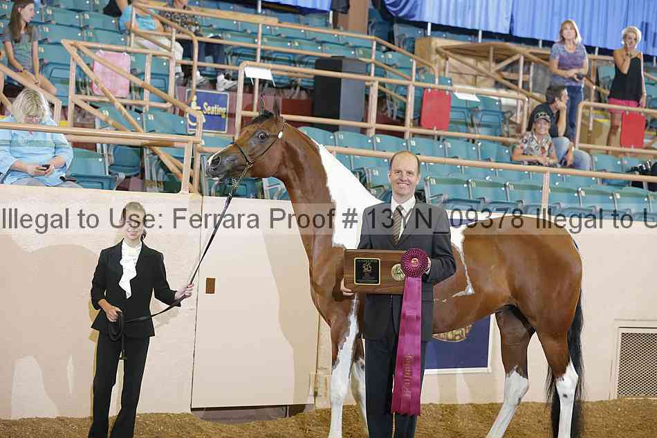 Proof 13yn_09378