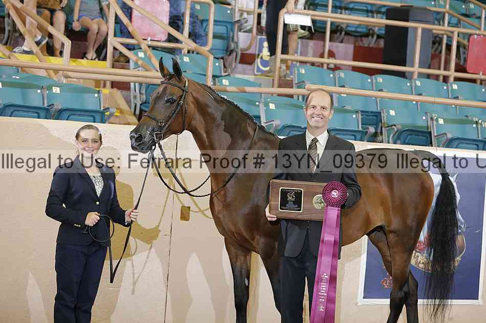 Proof 13yn_09379