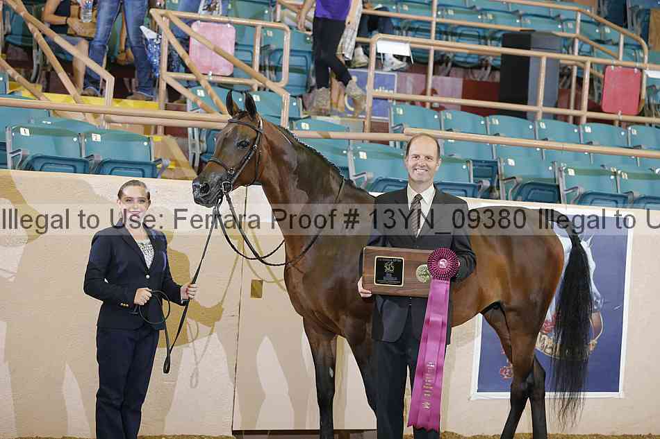 Proof 13yn_09380