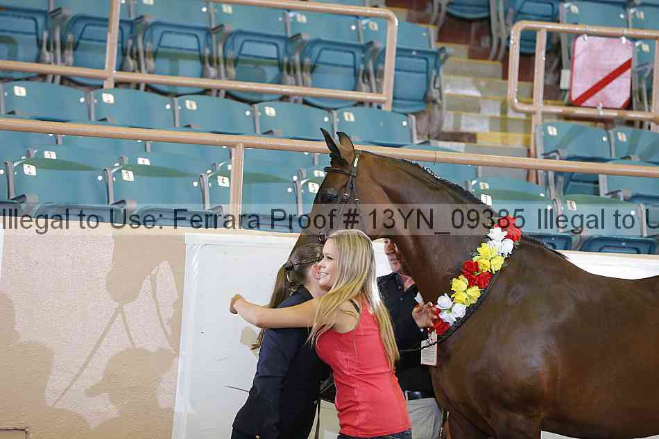 Proof 13yn_09385