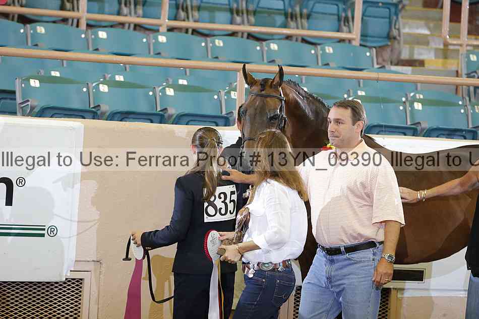 Proof 13yn_09390