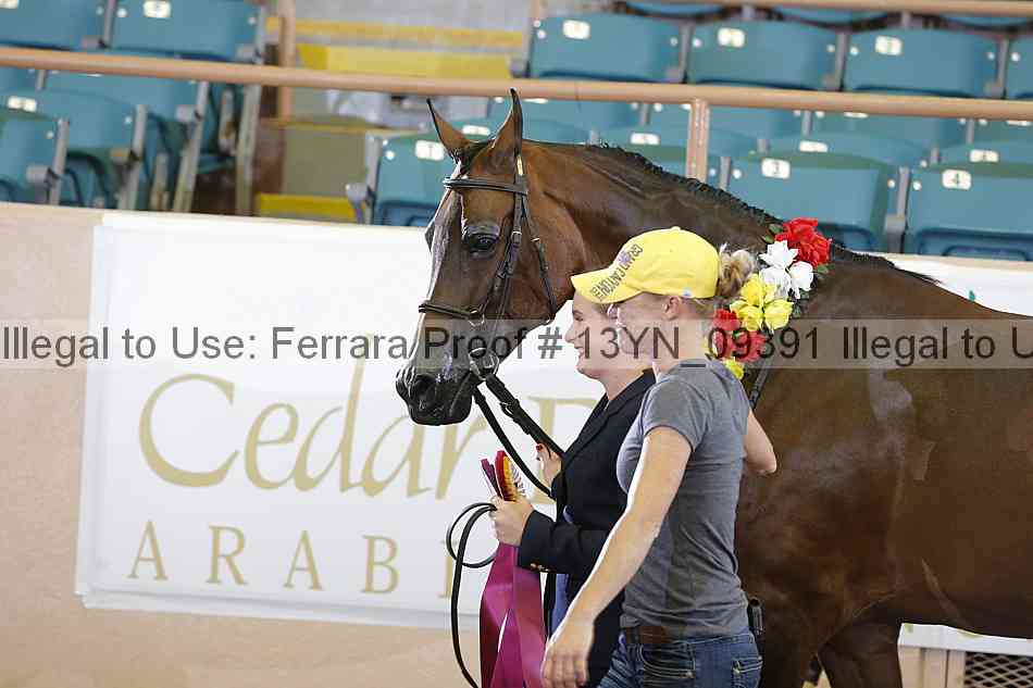 Proof 13yn_09391