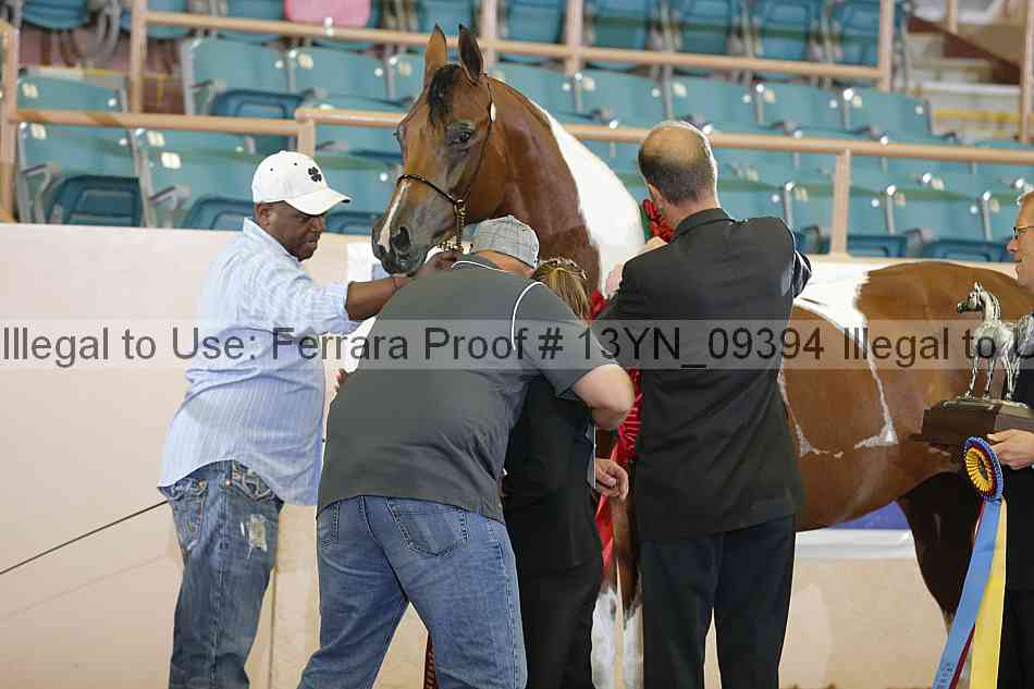 Proof 13yn_09394