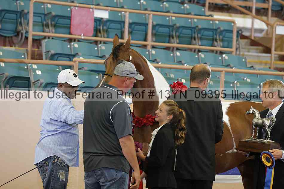 Proof 13yn_09395