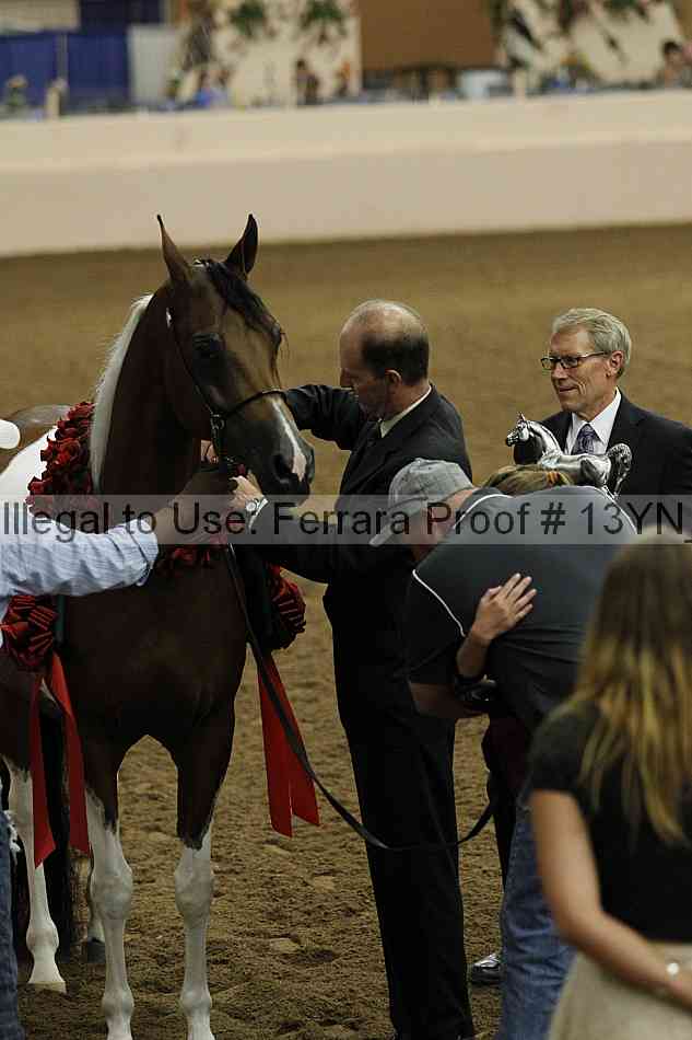 Proof 13yn_09396