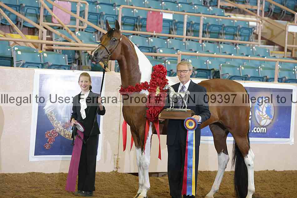 Proof 13yn_09397