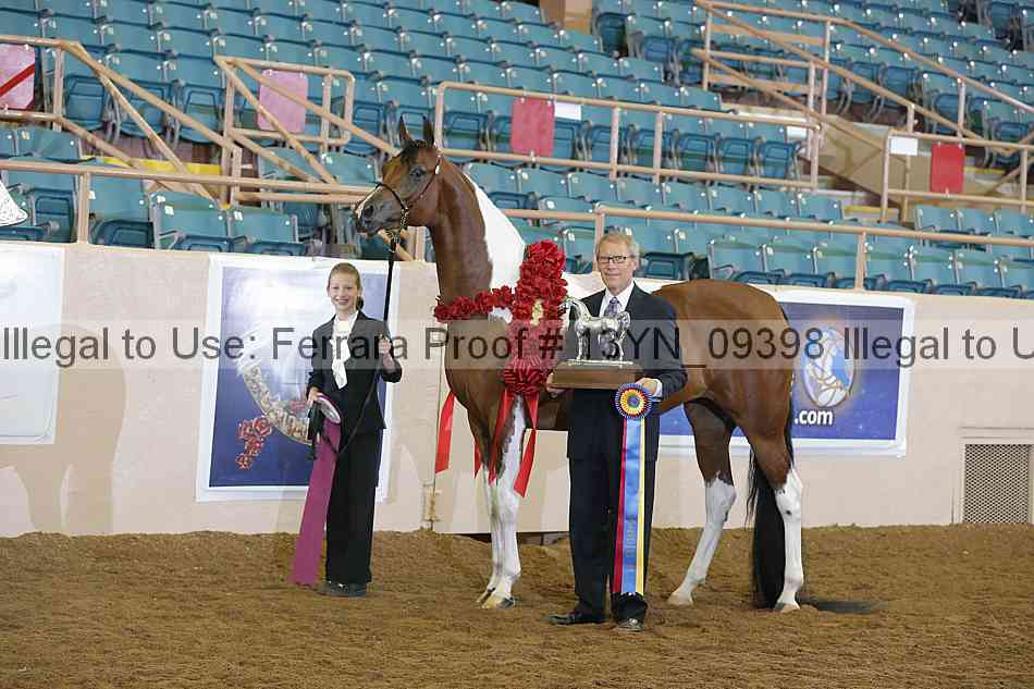 Proof 13yn_09398