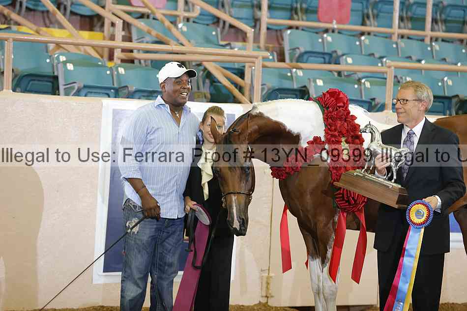 Proof 13yn_09399