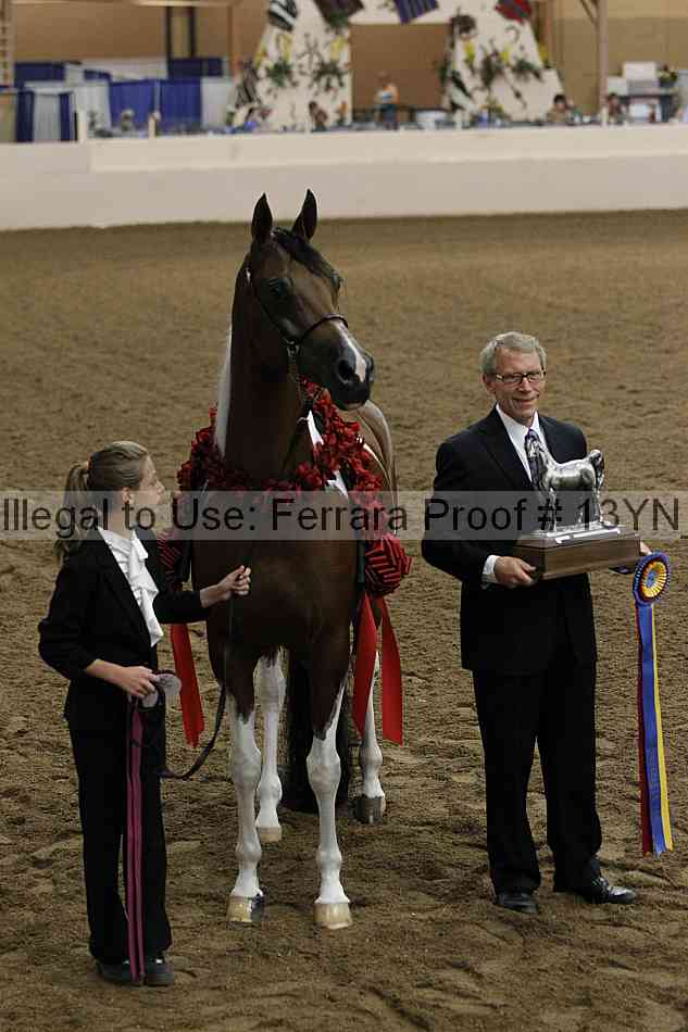 Proof 13yn_09401