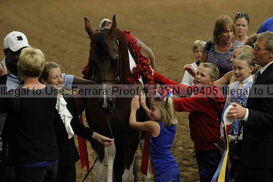 Proof 13yn_09405