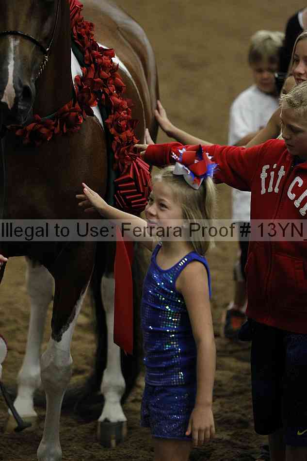 Proof 13yn_09406