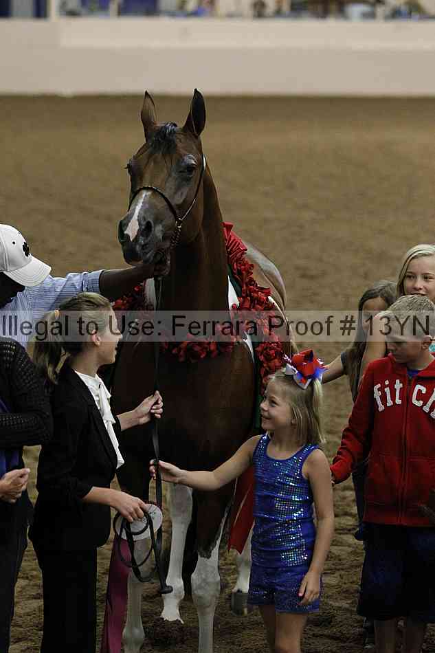 Proof 13yn_09407