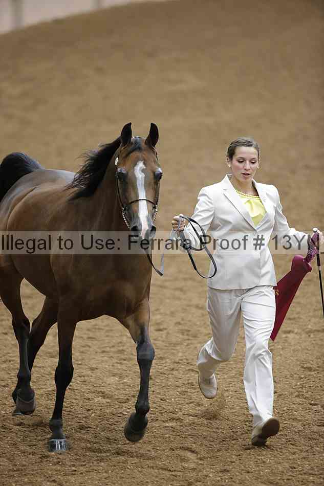 Proof 13yn_09421