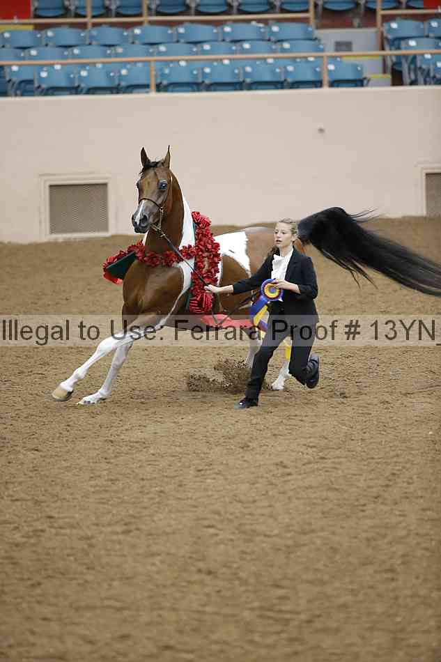 Proof 13yn_09426