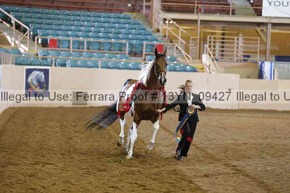 Proof 13yn_09427
