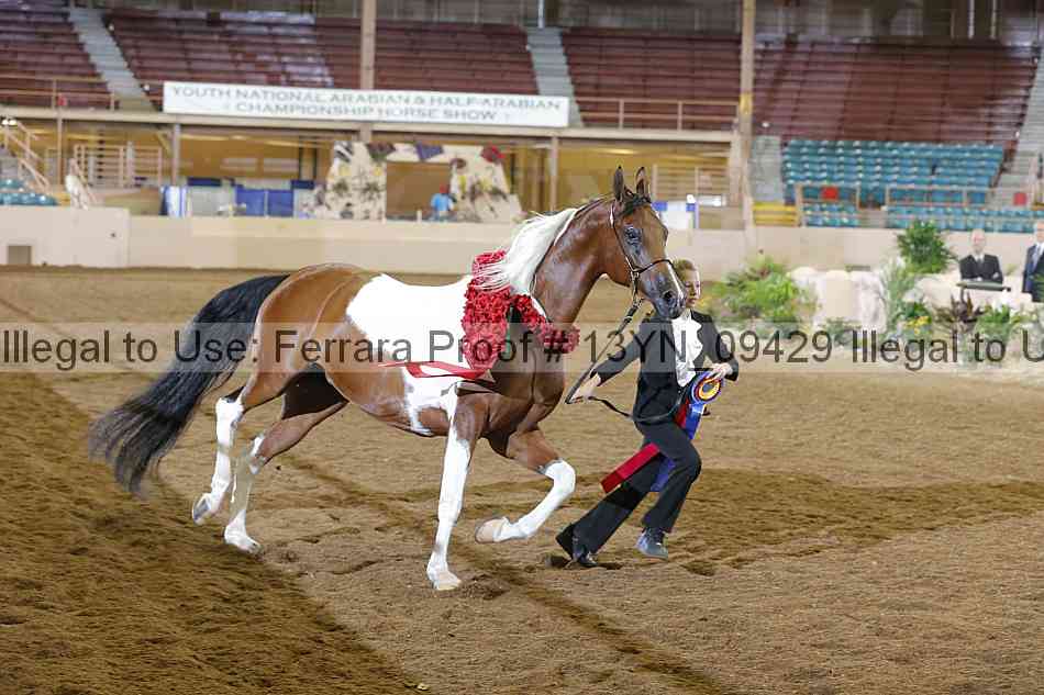 Proof 13yn_09429