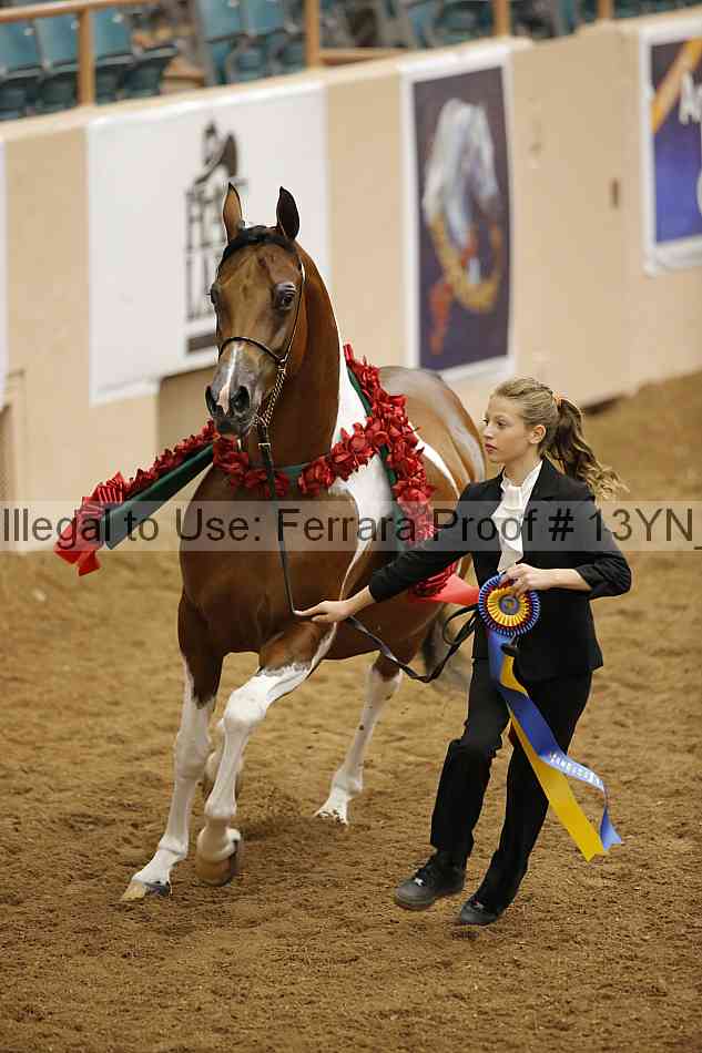 Proof 13yn_09430
