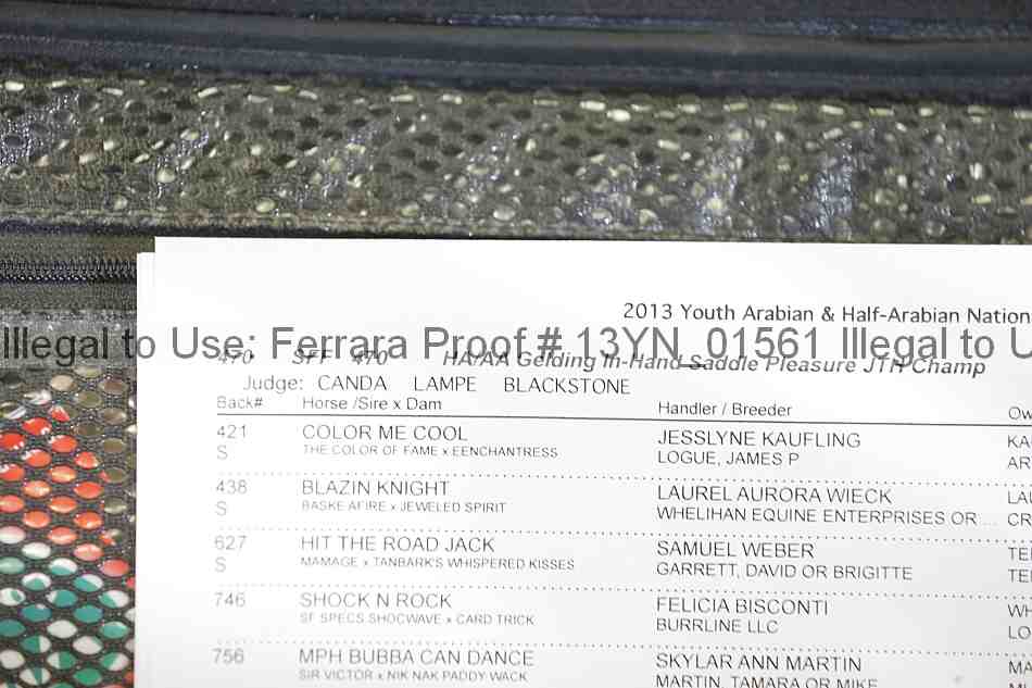 Proof 13yn_01561