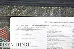 13yn_01561 proof