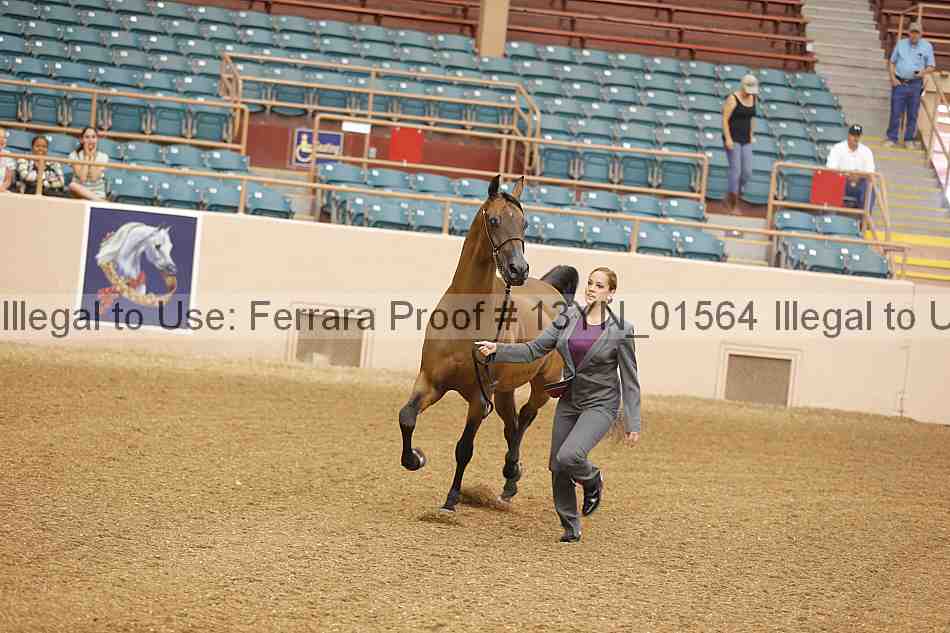 Proof 13yn_01564