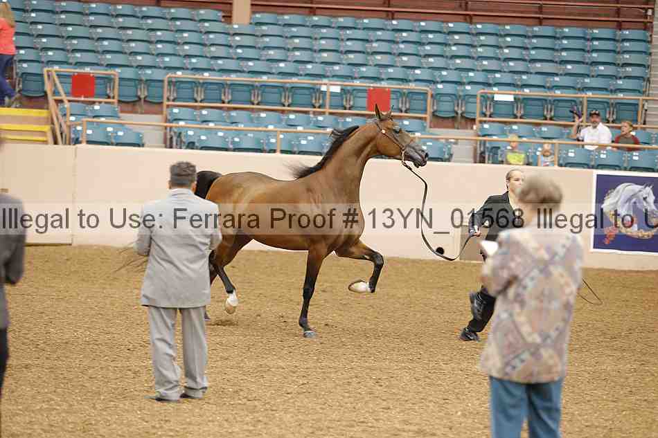 Proof 13yn_01568