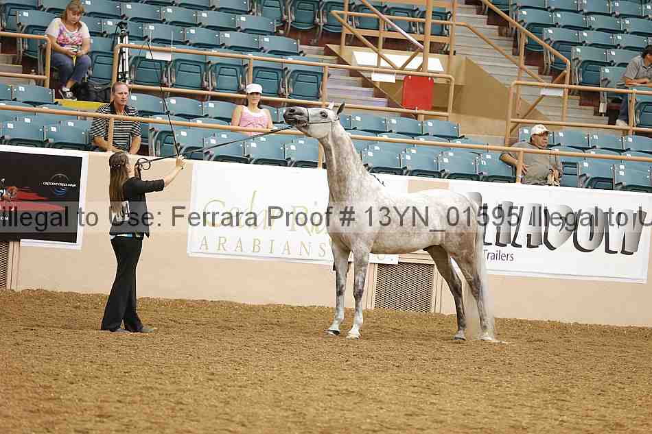 Proof 13yn_01595