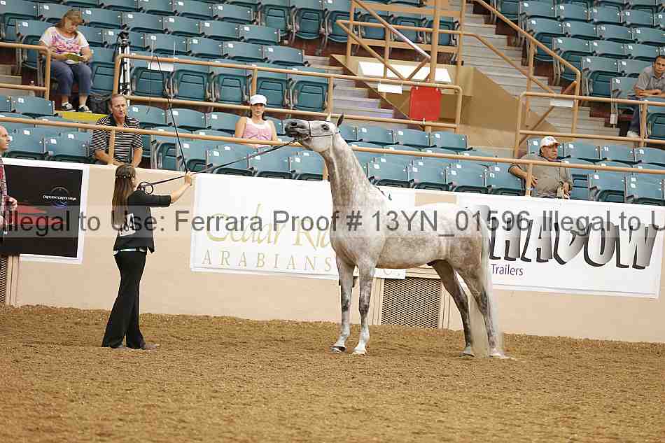 Proof 13yn_01596