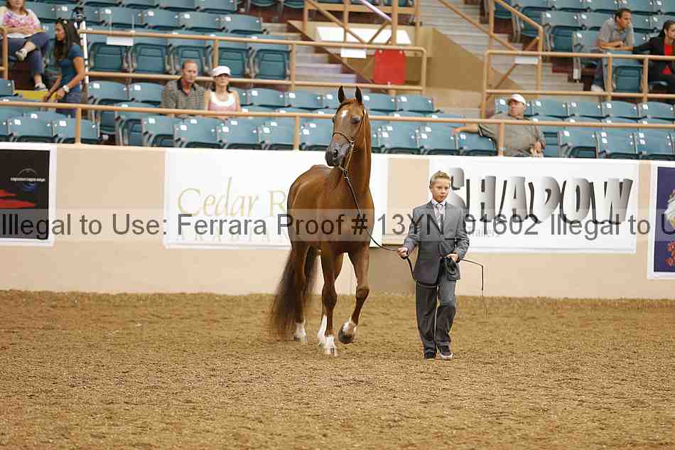 Proof 13yn_01602