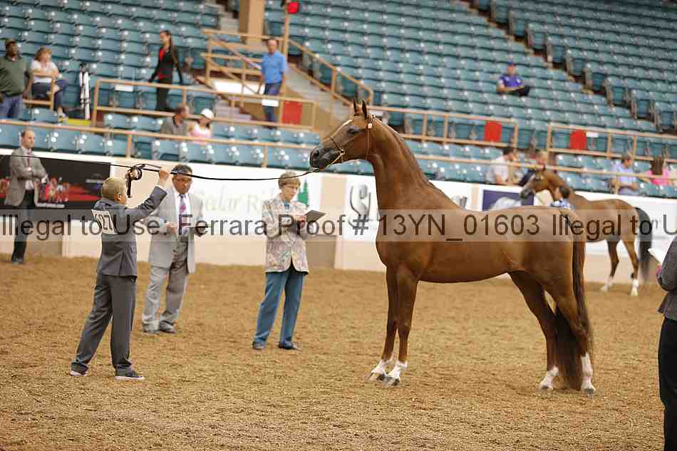 Proof 13yn_01603