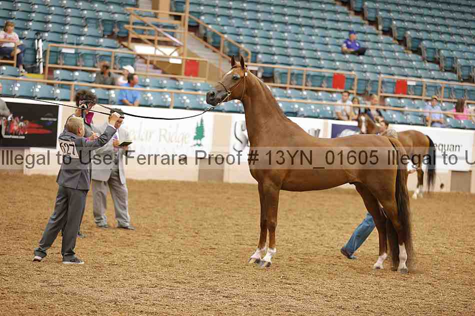 Proof 13yn_01605