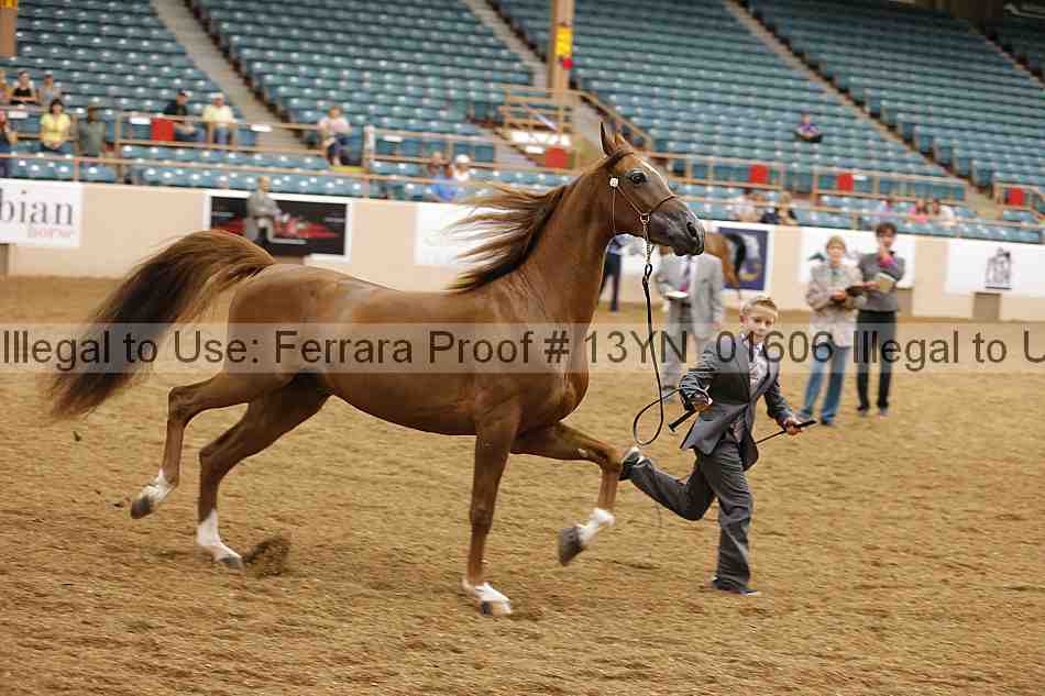 Proof 13yn_01606