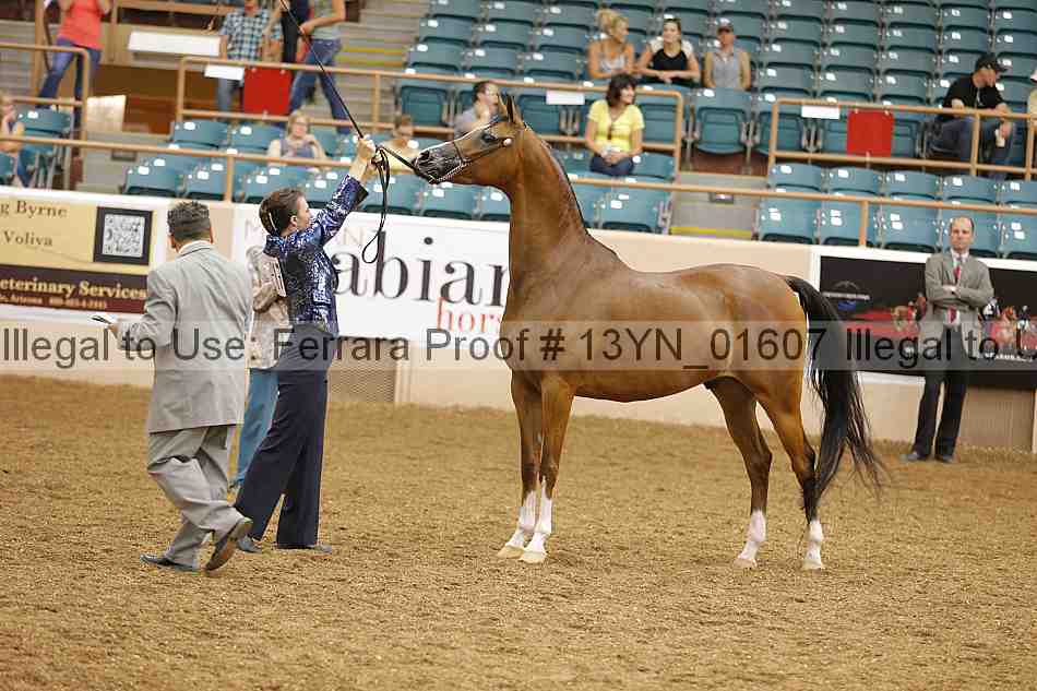 Proof 13yn_01607