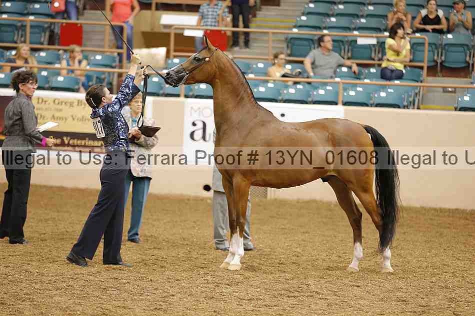 Proof 13yn_01608