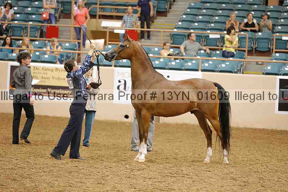 Proof 13yn_01609
