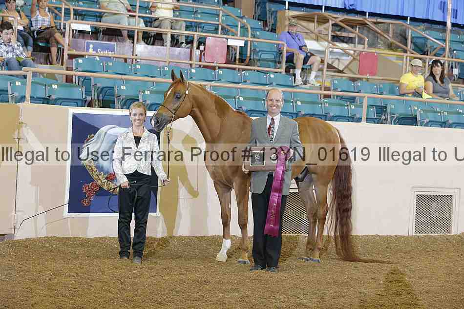 Proof 13yn_01619
