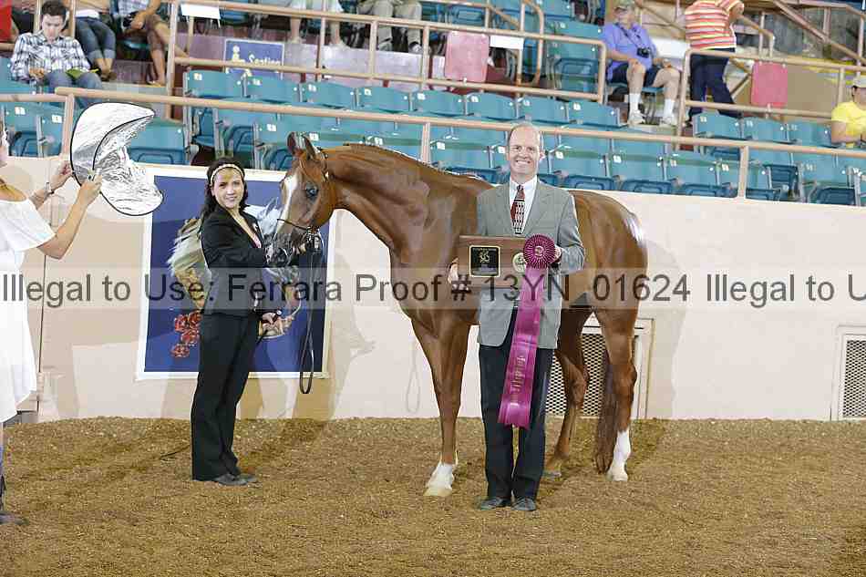 Proof 13yn_01624
