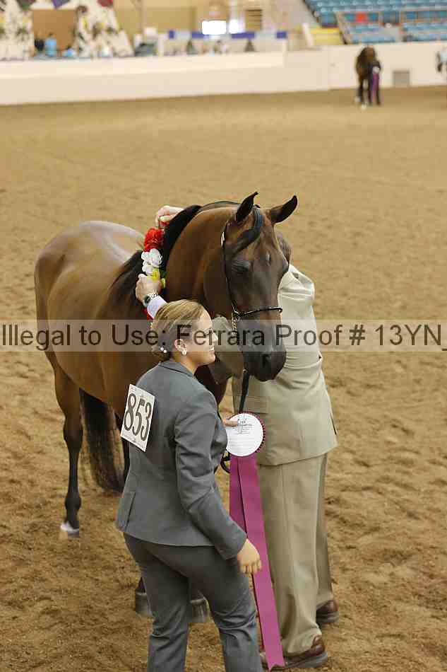 Proof 13yn_01639