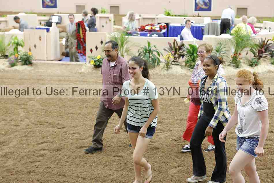 Proof 13yn_01651