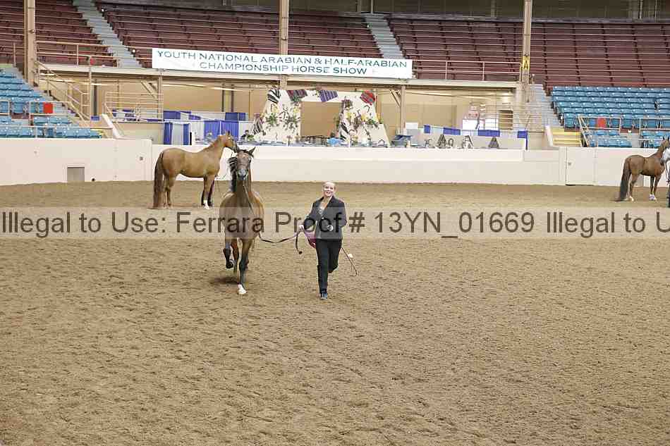 Proof 13yn_01669