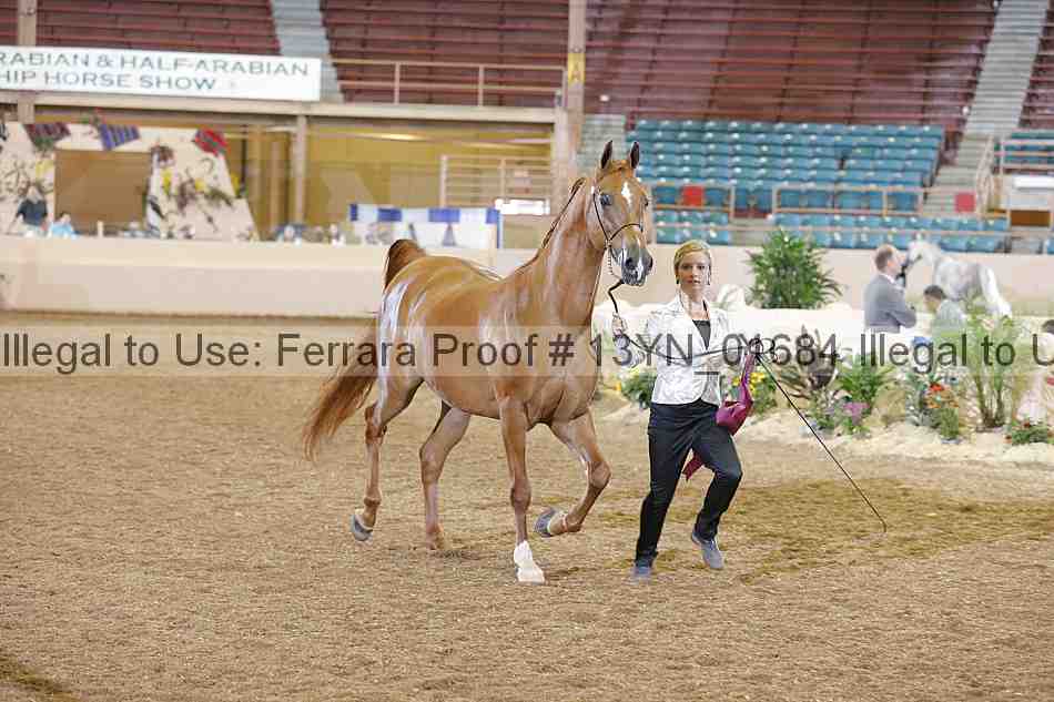 Proof 13yn_01684