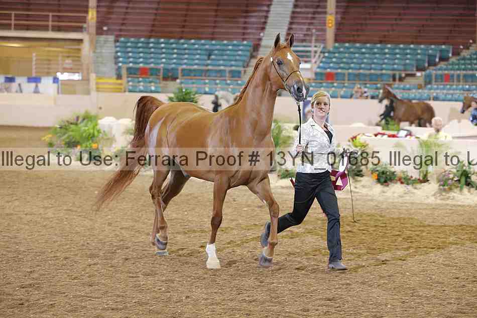 Proof 13yn_01685