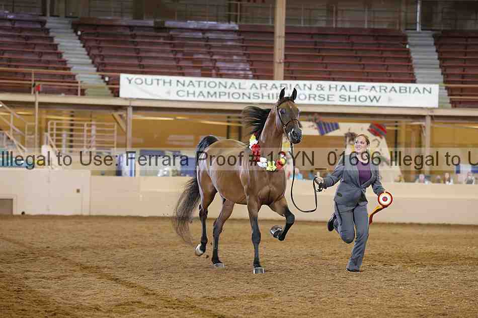 Proof 13yn_01696