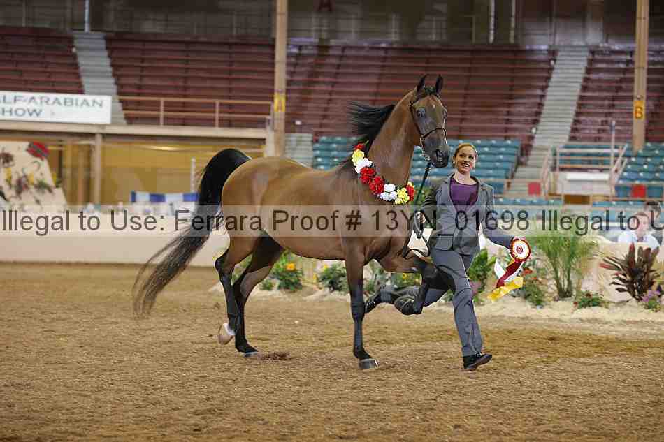 Proof 13yn_01698