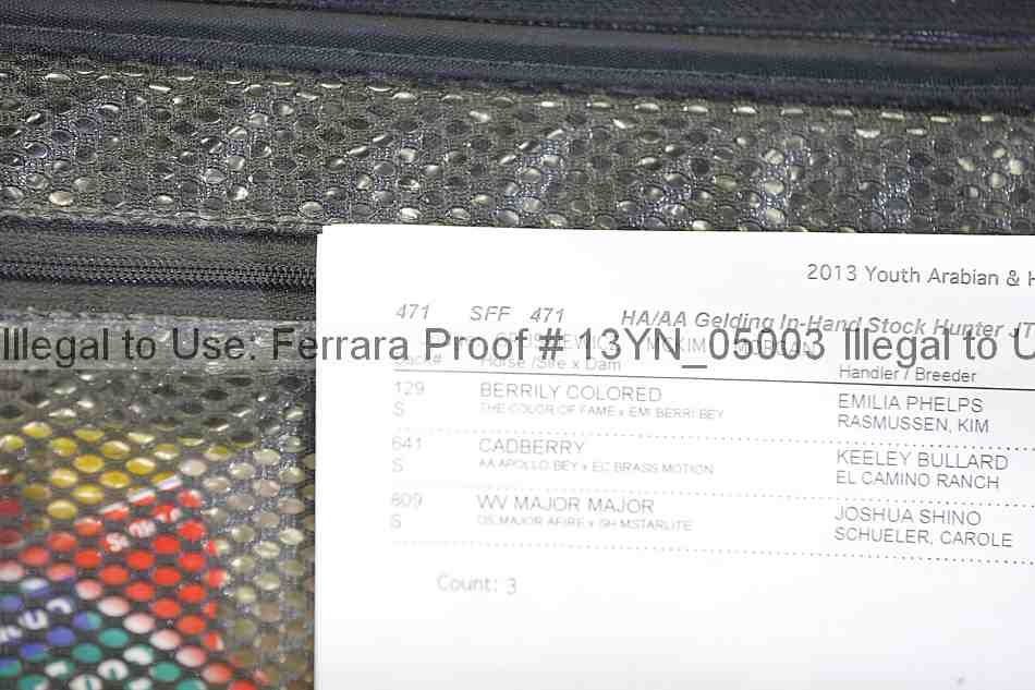 Proof 13yn_05003