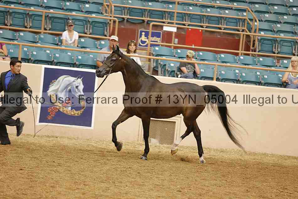 Proof 13yn_05004