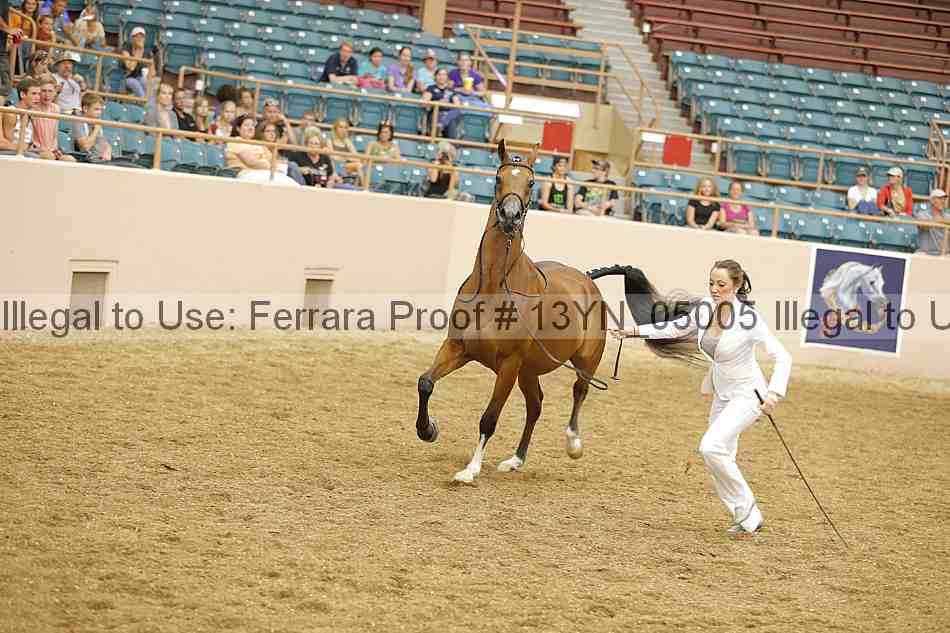 Proof 13yn_05005