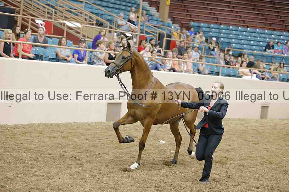 Proof 13yn_05006