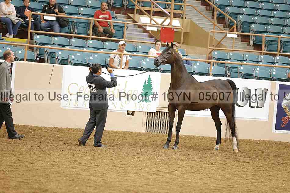 Proof 13yn_05007